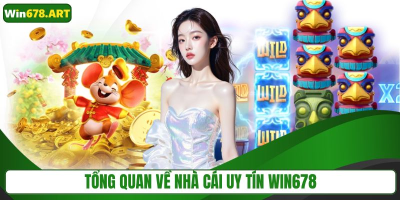 Tổng quan về nhà cái uy tín 678win